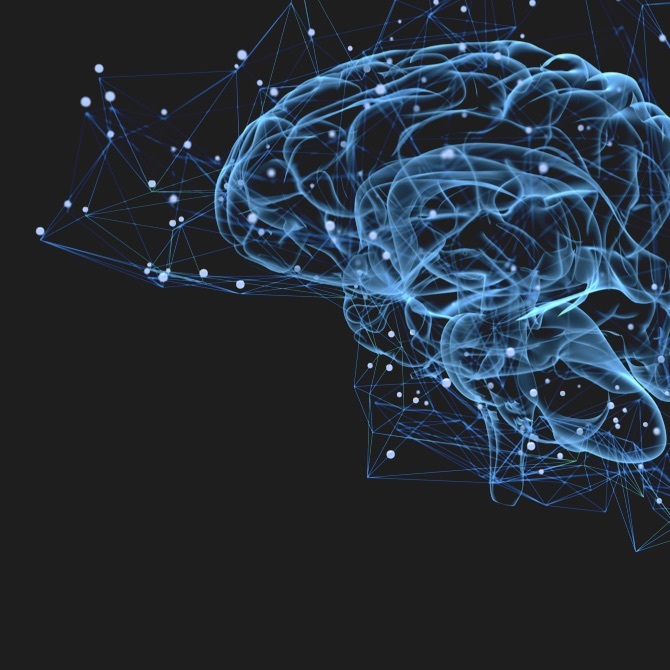 Brain